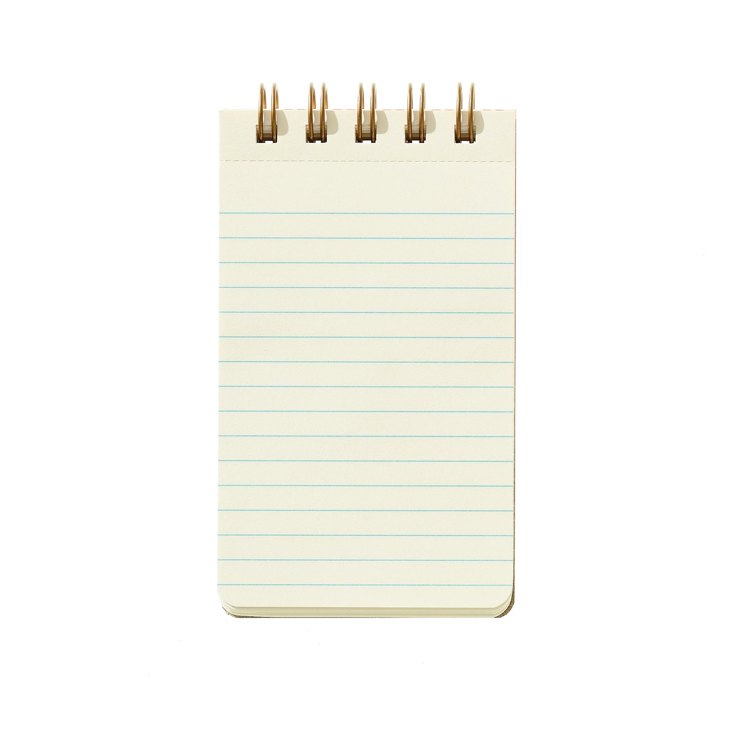 Reporter Notebook - light green