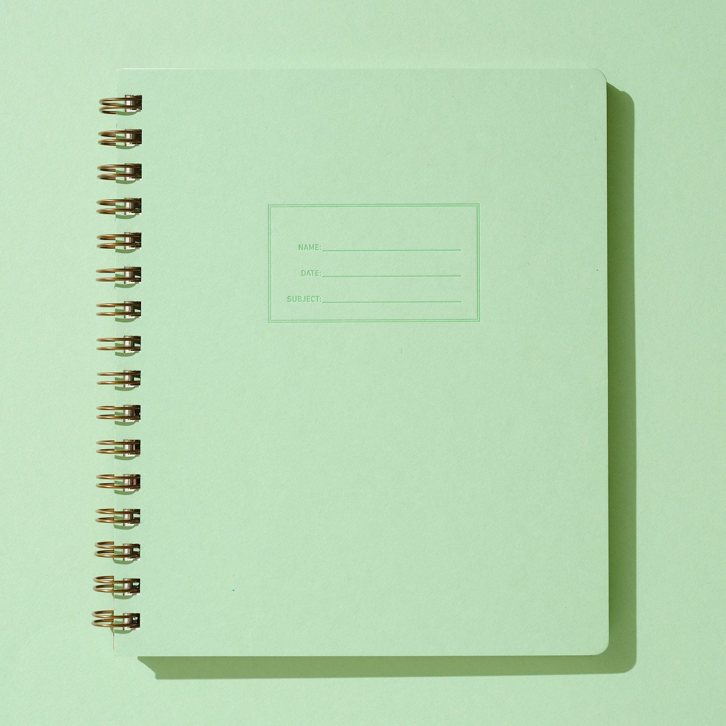 Standard Notebook - Mint