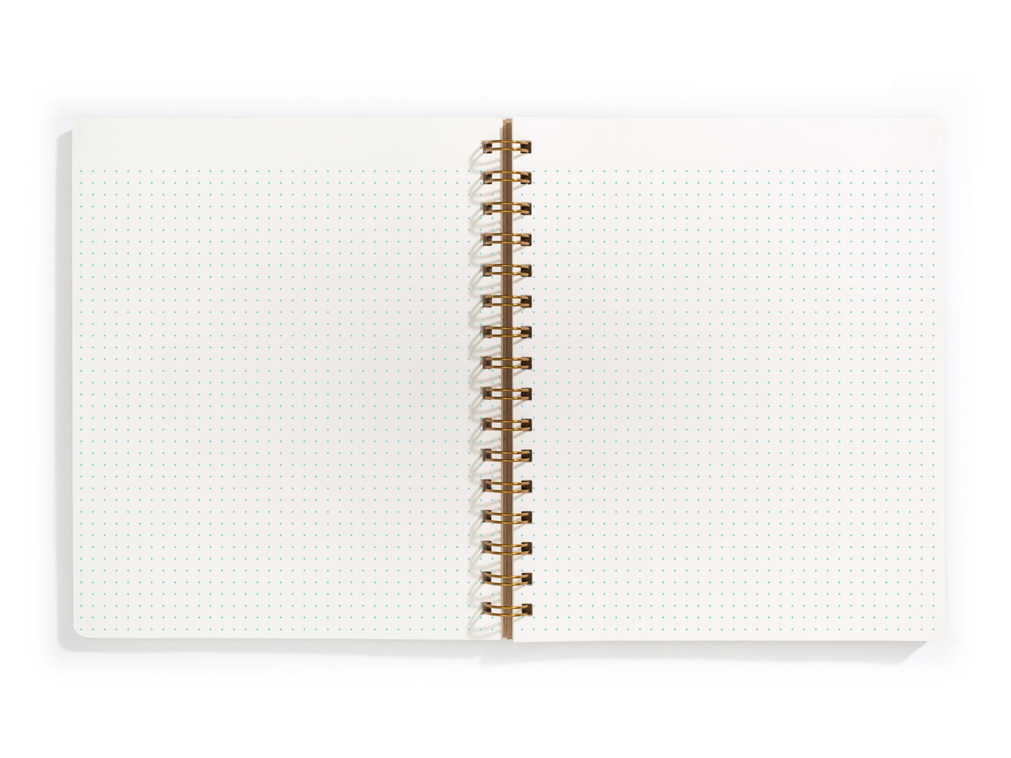 Standard Notebook - Pool
